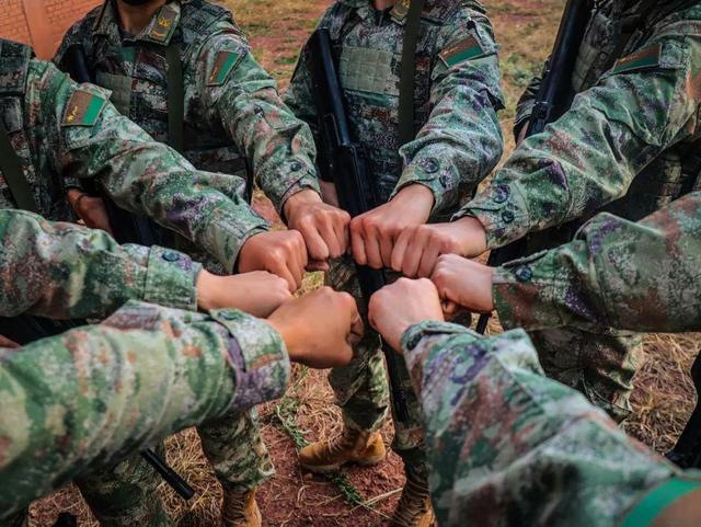 同样是军官,‘军考上岸’和‘高考进军校’,到底哪不一样?(图2) 下载 (6).jpg